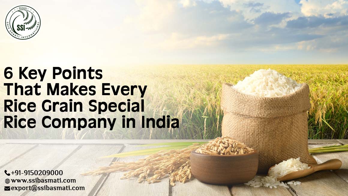 6 Key Points That Makes Every Rice Grain Special | Rice Company in India